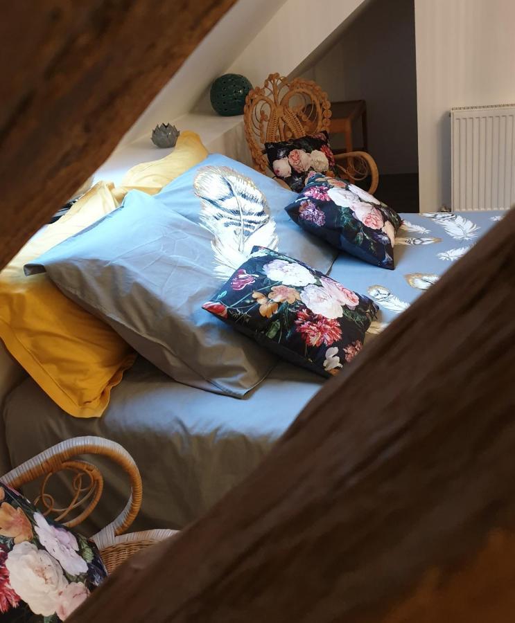 Maison Belenos Nevy-Sur-Seille Zewnętrze zdjęcie